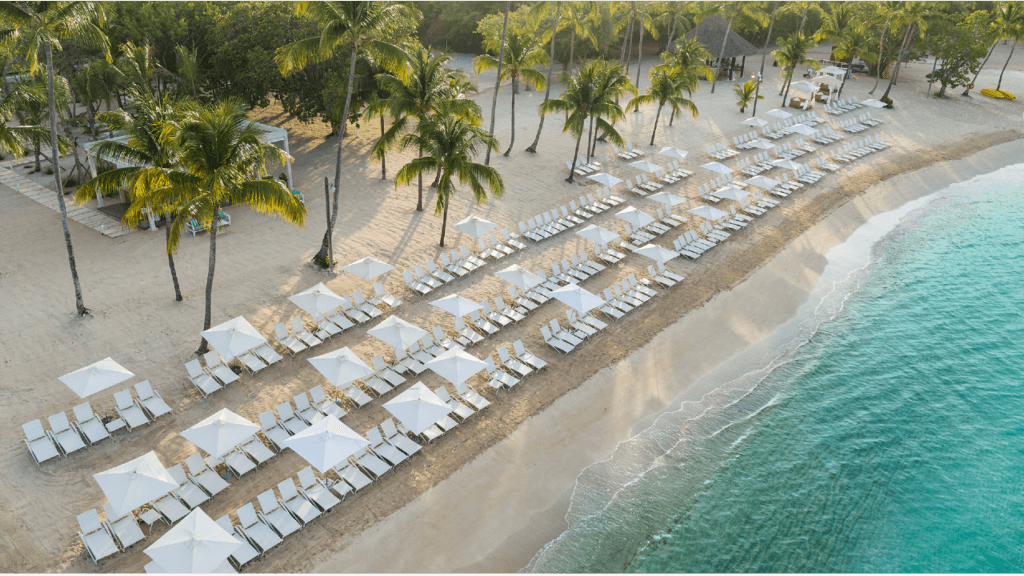 The best tours and activities in Punta Cana for 2023 by Caribbean Fun Punta Cana