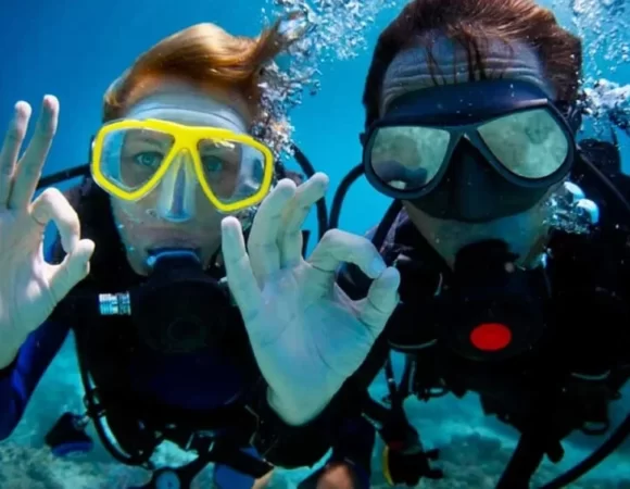 Scuba Diving at Catalina Island