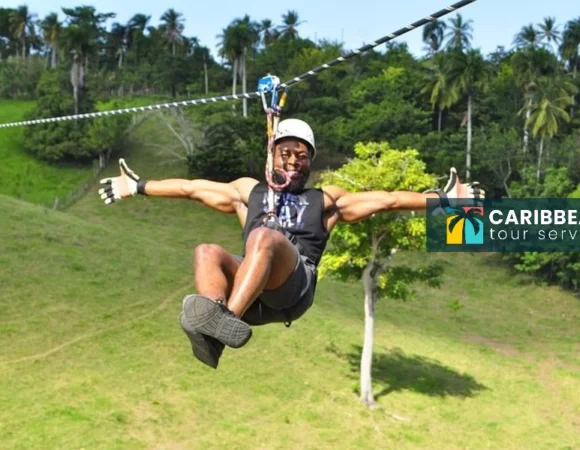 Zipline 