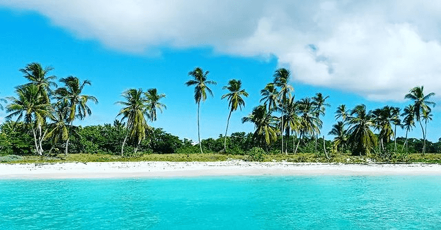 The Best Tours And Activities In Punta Cana For 2023 By Caribbean Fun Punta Cana